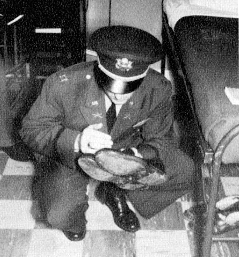 A shoe inspection.