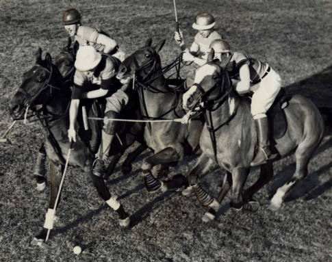 Polo at PMC