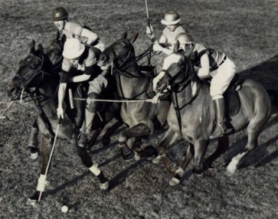 Polo at PMC